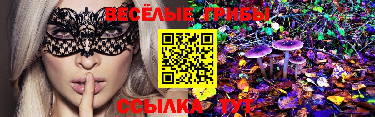 Псилоцибиновые грибы MAGIC MUSHROOMS  Вход с VPN  Клин 